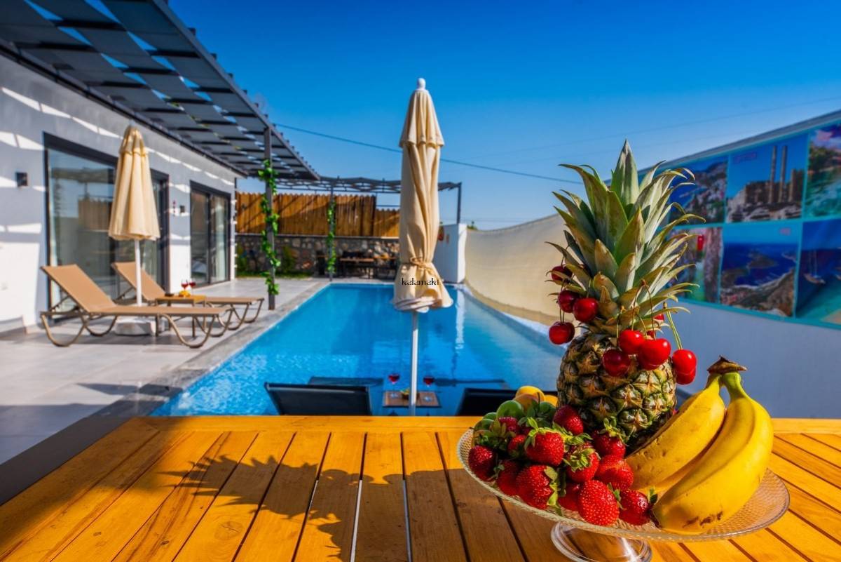 Villa Nar Ağacı