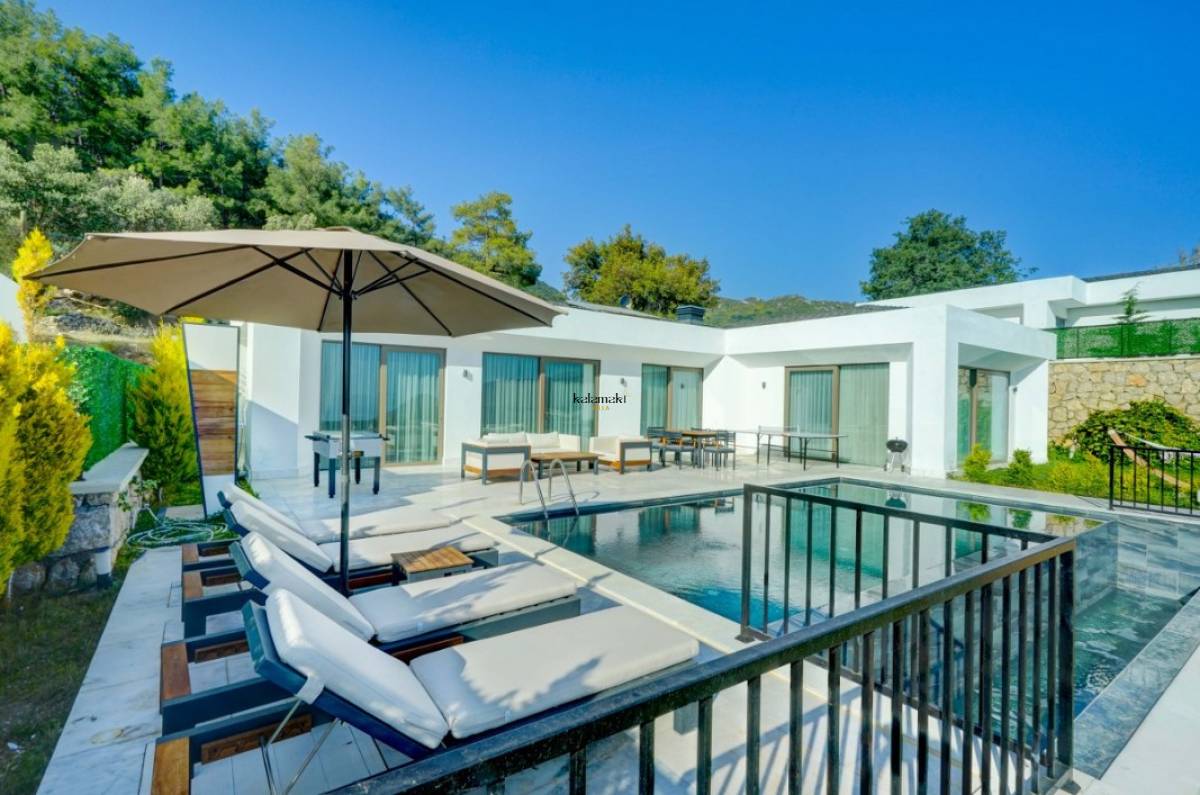 Villa Pluto 1
