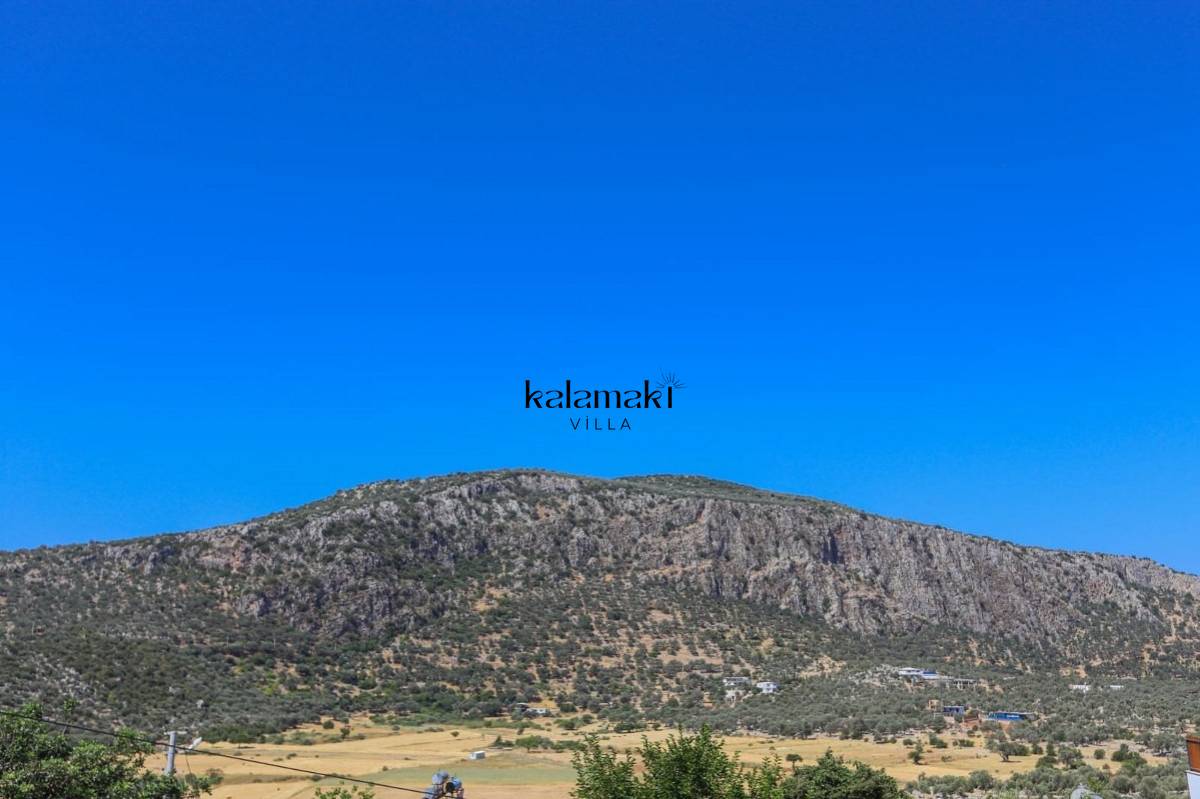 Villah Şah