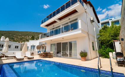 Villa Neo